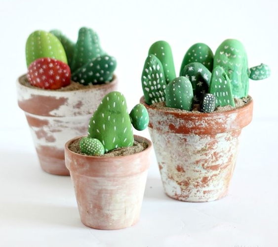 galets cactus